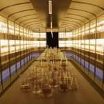 The Johnnie Walker Vault