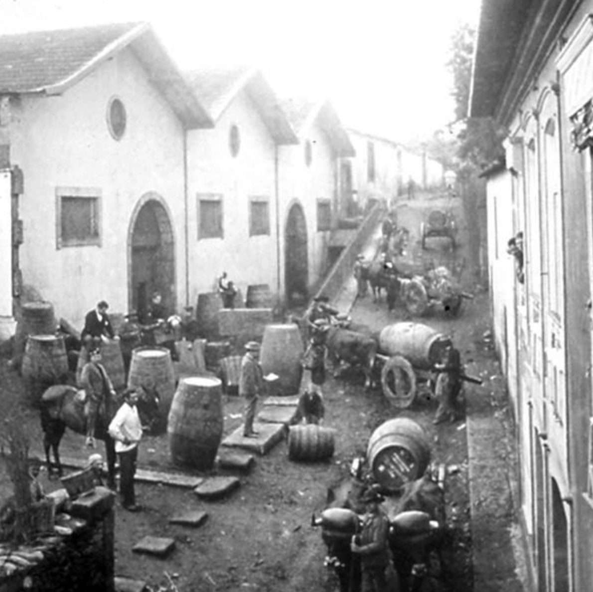 Josafer cooperage Portugal cooperage museum