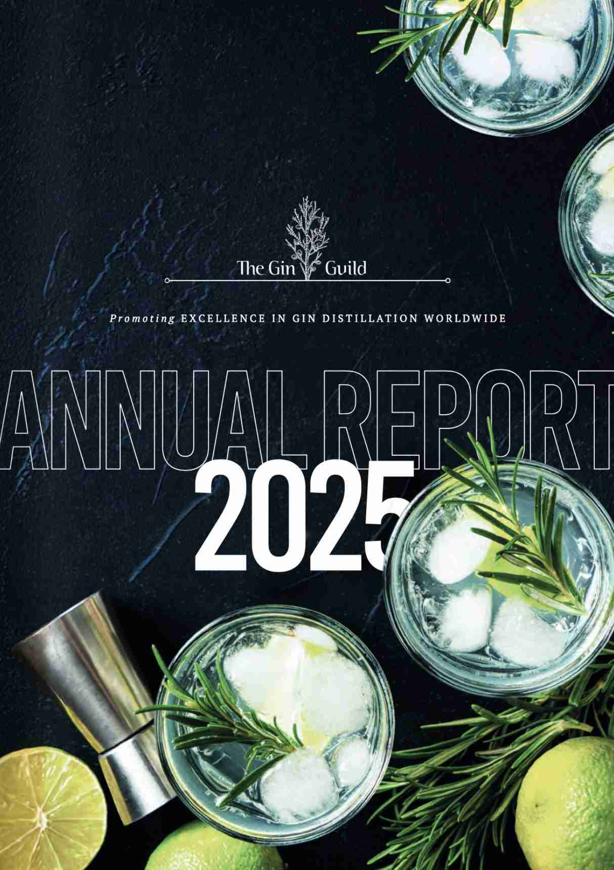 the gin guild annual report 2025